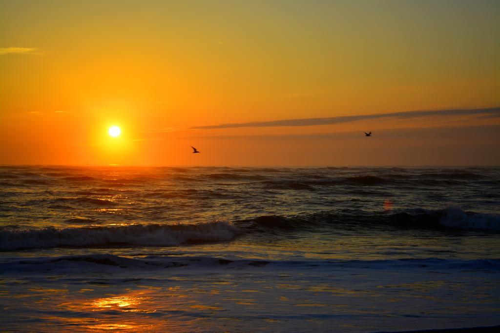 The Saint Augustine Beach House エクステリア 写真