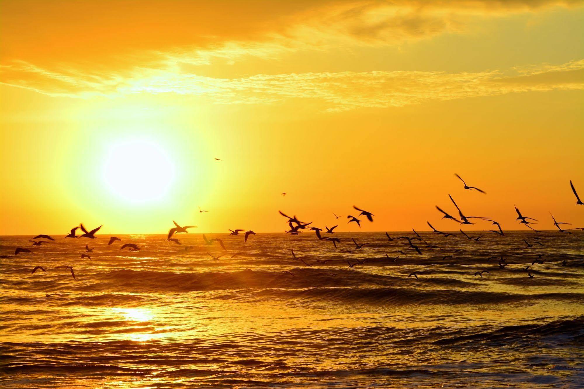 The Saint Augustine Beach House エクステリア 写真