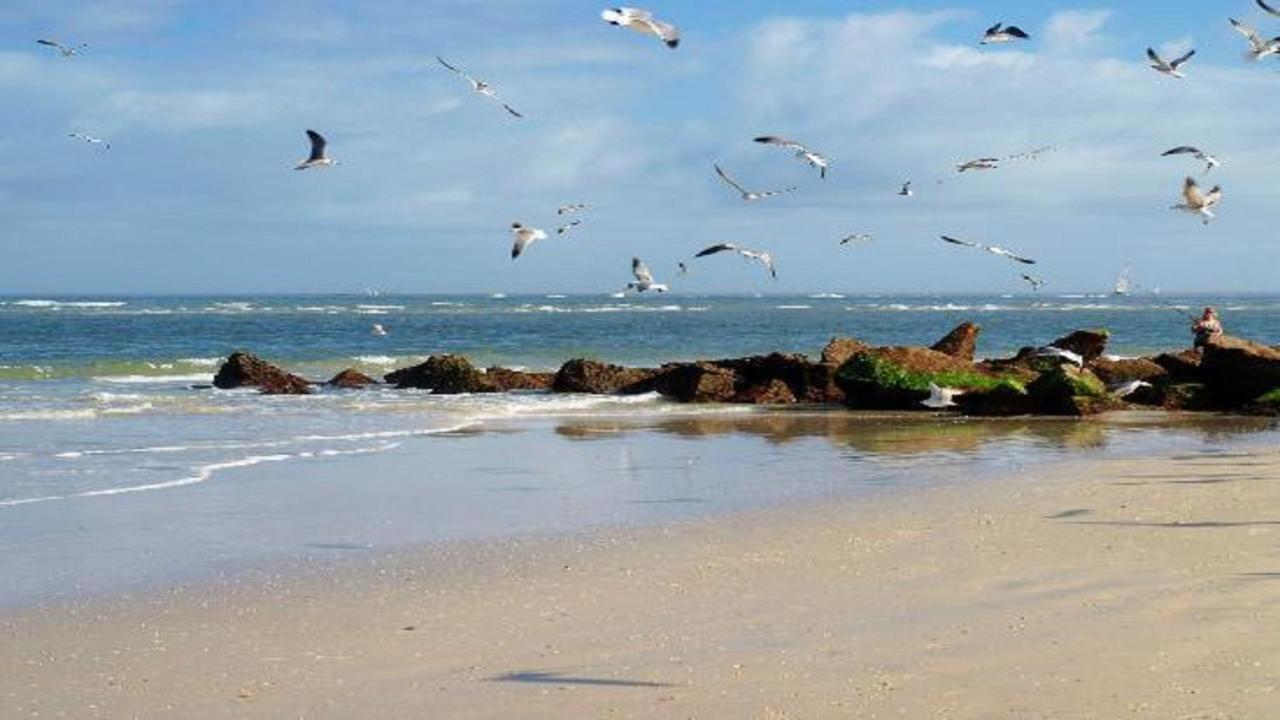 The Saint Augustine Beach House エクステリア 写真